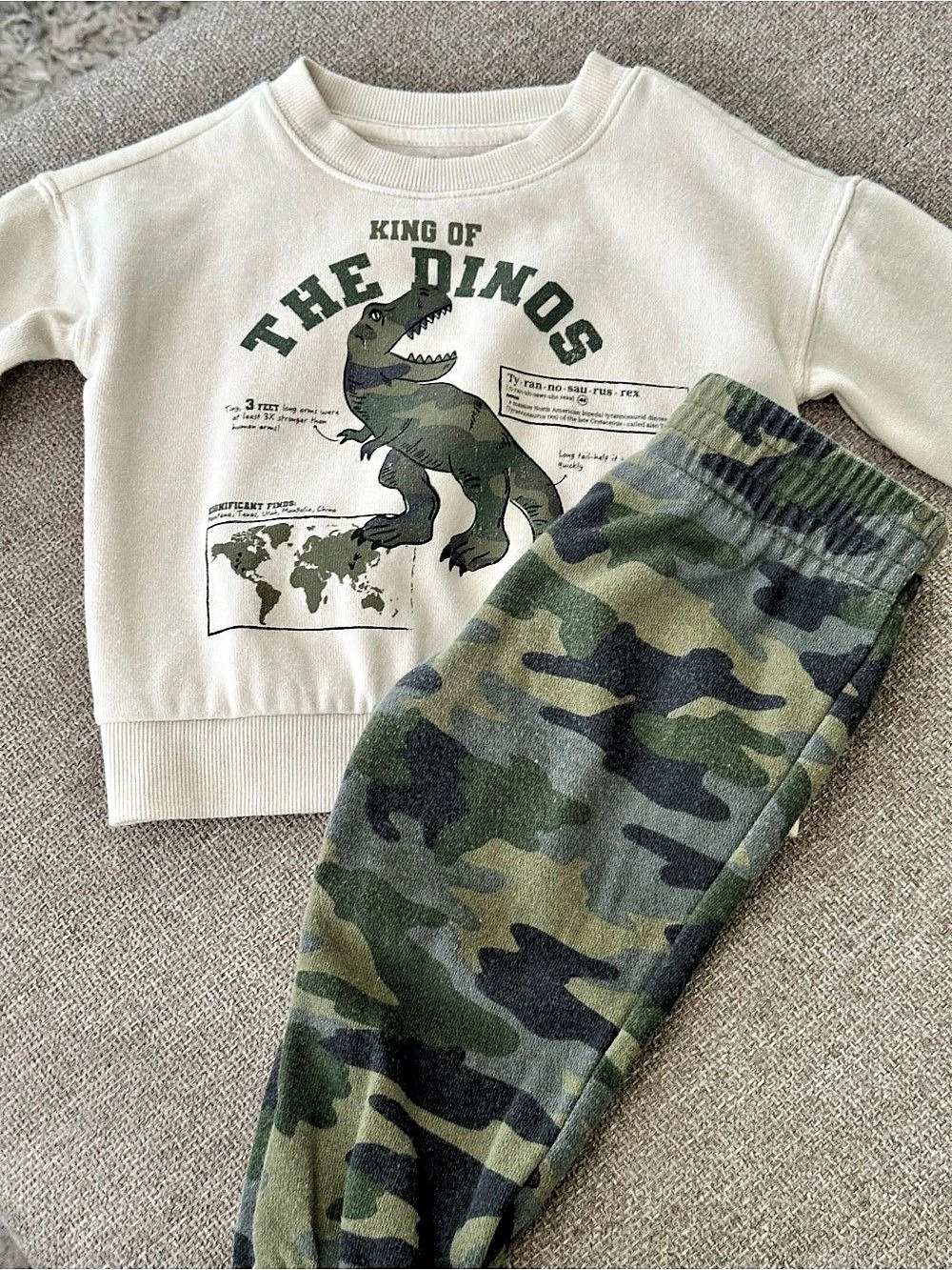 Kids Dinosaur Graphic Camo Matching Set Like New